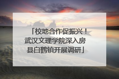 校地合作促振兴！武汉文理学院深入房县白鹤镇开展调研