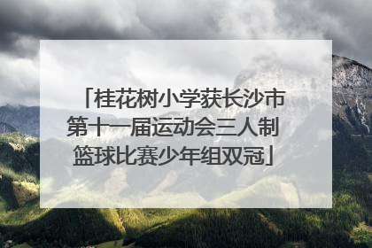 桂花树小学获长沙市第十一届运动会三人制篮球比赛少年组双冠