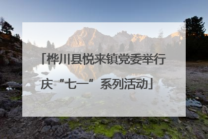 桦川县悦来镇党委举行庆“七一”系列活动