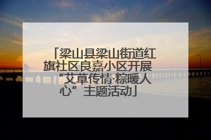 梁山县梁山街道红旗社区良嘉小区开展“艾草传情·粽暖人心”主题活动
