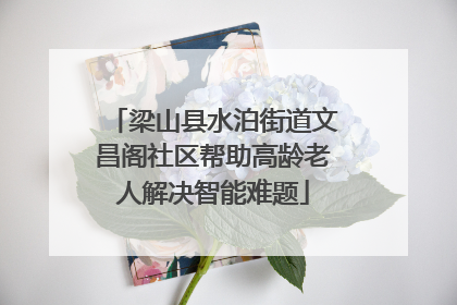 梁山县水泊街道文昌阁社区帮助高龄老人解决智能难题