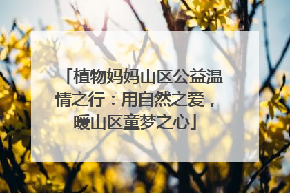 植物妈妈山区公益温情之行：用自然之爱，暖山区童梦之心