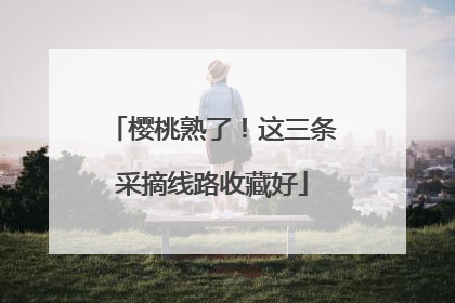 樱桃熟了！这三条采摘线路收藏好