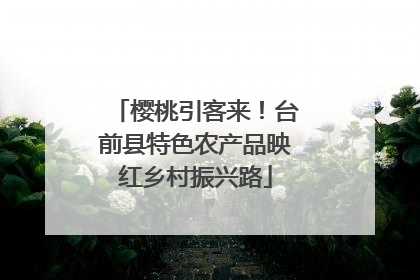樱桃引客来！台前县特色农产品映红乡村振兴路