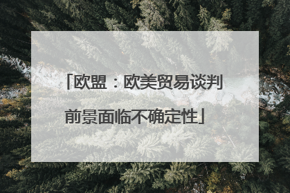 欧盟：欧美贸易谈判前景面临不确定性
