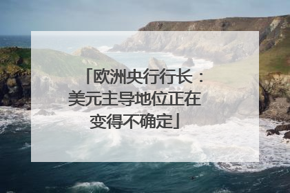 欧洲央行行长：美元主导地位正在变得不确定