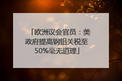 欧洲议会官员：美政府提高钢铝关税至50%毫无道理