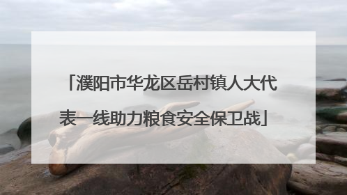 濮阳市华龙区岳村镇人大代表一线助力粮食安全保卫战
