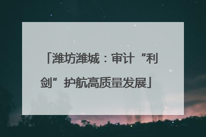 潍坊潍城：审计“利剑”护航高质量发展