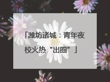 潍坊诸城：青年夜校火热“出圈”