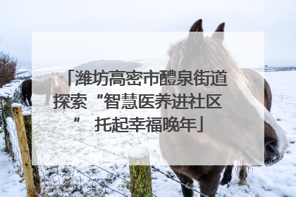 潍坊高密市醴泉街道探索“智慧医养进社区” 托起幸福晚年