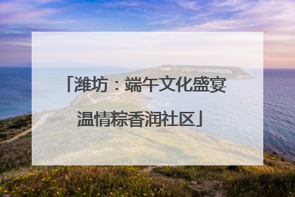 潍坊：端午文化盛宴 温情粽香润社区