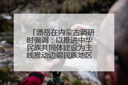潘岳在内蒙古调研时强调：以推进中华民族共同体建设为主线推动边疆民族地区高质量发展