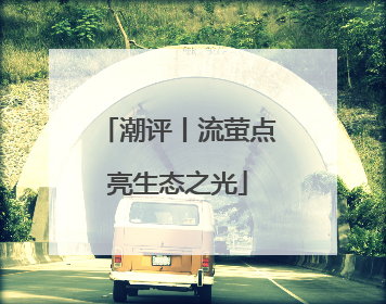 潮评丨流萤点亮生态之光
