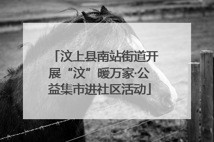 汶上县南站街道开展“汶”暖万家·公益集市进社区活动
