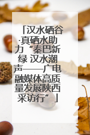 汉水硒谷·真硒水助力“秦巴新绿 汉水潮声——广电融媒体高质量发展陕西采访行”