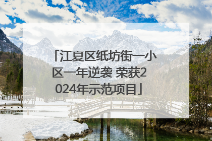 江夏区纸坊街一小区一年逆袭 荣获2024年示范项目