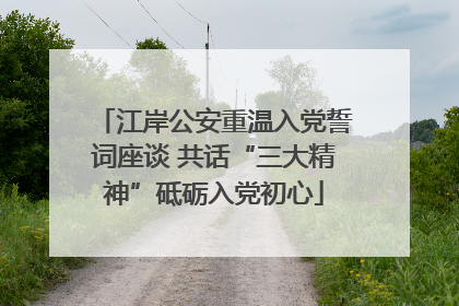 江岸公安重温入党誓词座谈 共话“三大精神”砥砺入党初心