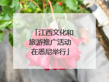 江西文化和旅游推广活动在悉尼举行