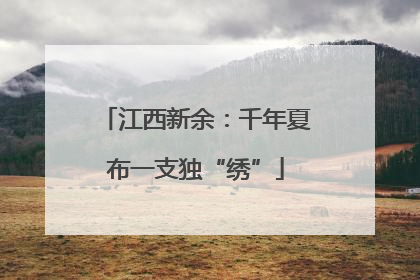 江西新余：千年夏布一支独“绣”