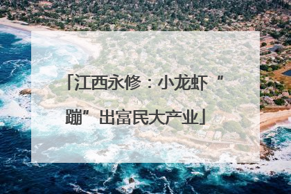 江西永修：小龙虾“蹦”出富民大产业