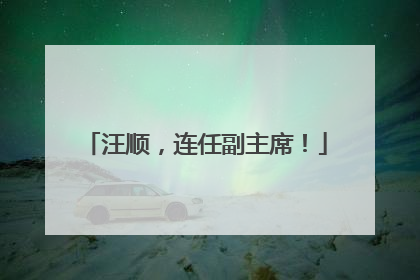 汪顺，连任副主席！