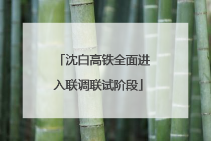 沈白高铁全面进入联调联试阶段