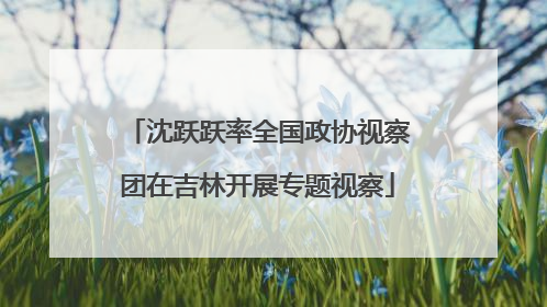 沈跃跃率全国政协视察团在吉林开展专题视察