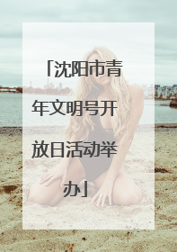 沈阳市青年文明号开放日活动举办