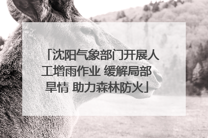 沈阳气象部门开展人工增雨作业 缓解局部旱情 助力森林防火