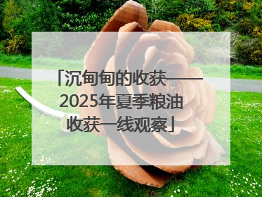 沉甸甸的收获——2025年夏季粮油收获一线观察
