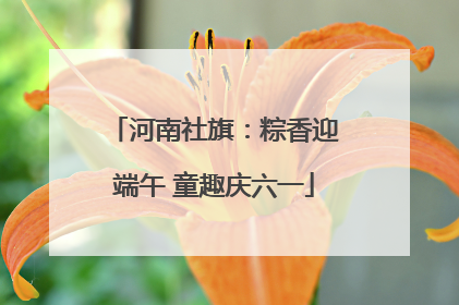 河南社旗：粽香迎端午 童趣庆六一