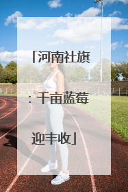 河南社旗：千亩蓝莓迎丰收