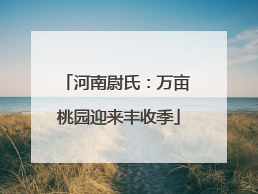 河南尉氏：万亩桃园迎来丰收季