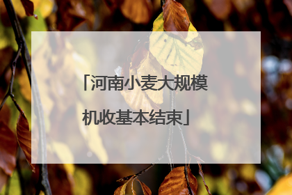 河南小麦大规模机收基本结束