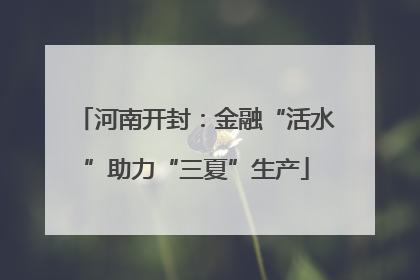 河南开封：金融“活水”助力“三夏”生产