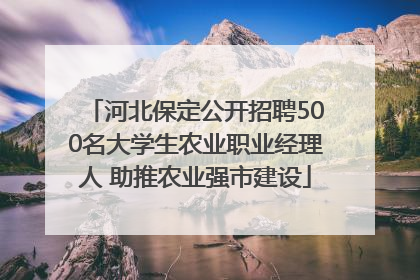 河北保定公开招聘500名大学生农业职业经理人 助推农业强市建设