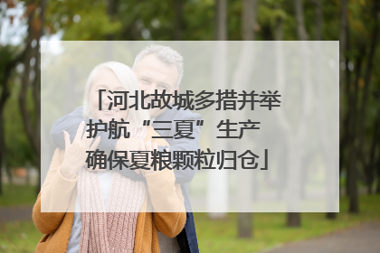 河北故城多措并举护航“三夏”生产 确保夏粮颗粒归仓