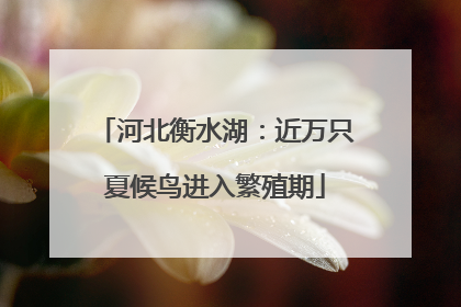 河北衡水湖：近万只夏候鸟进入繁殖期