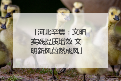 河北辛集：文明实践提质增效 文明新风蔚然成风