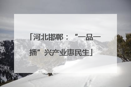 河北邯郸：“一品一播”兴产业惠民生