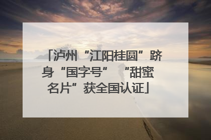 泸州“江阳桂圆”跻身“国字号” “甜蜜名片”获全国认证