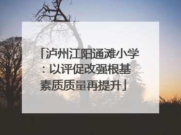 泸州江阳通滩小学：以评促改强根基 素质质量再提升