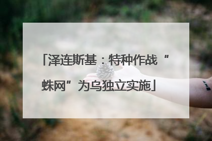泽连斯基：特种作战“蛛网”为乌独立实施