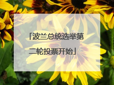 波兰总统选举第二轮投票开始