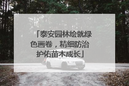 泰安园林绘就绿色画卷，精细防治护佑苗木成长