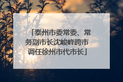 泰州市委常委、常务副市长沈峻峰跨市调任徐州市代市长