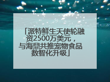 派特鲜生天使轮融资2500万美元，与海鼎共推宠物食品数智化升级