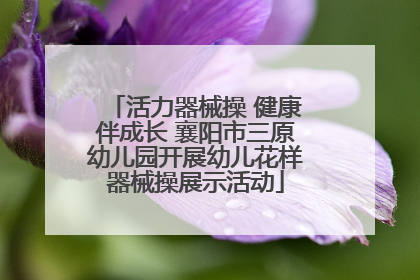 活力器械操 健康伴成长 襄阳市三原幼儿园开展幼儿花样器械操展示活动