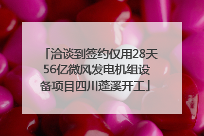 洽谈到签约仅用28天 56亿微风发电机组设备项目四川蓬溪开工